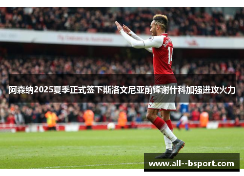 阿森纳2025夏季正式签下斯洛文尼亚前锋谢什科加强进攻火力 阿森纳2025夏季正式签下斯洛文尼亚前锋谢什科加强进攻火力